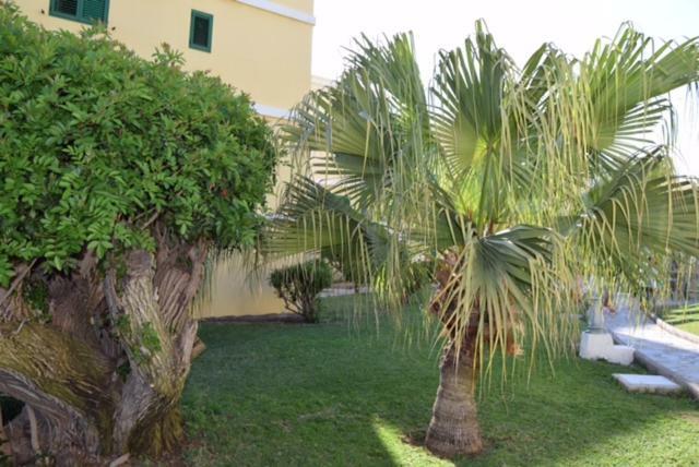 Tara Apartment Playa del Ingles  Luaran gambar